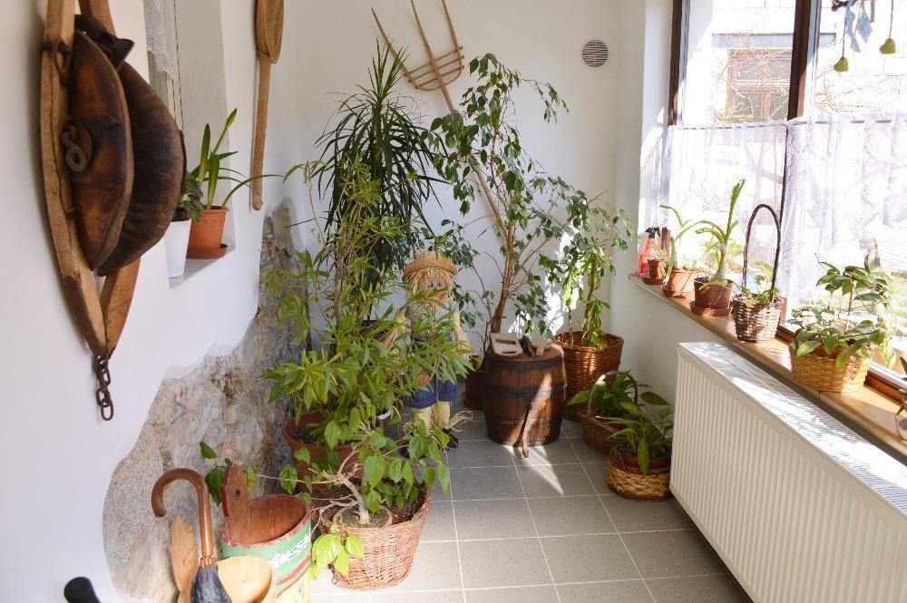 U Slunecne Brany Františkovy Lázně Exteriör bild